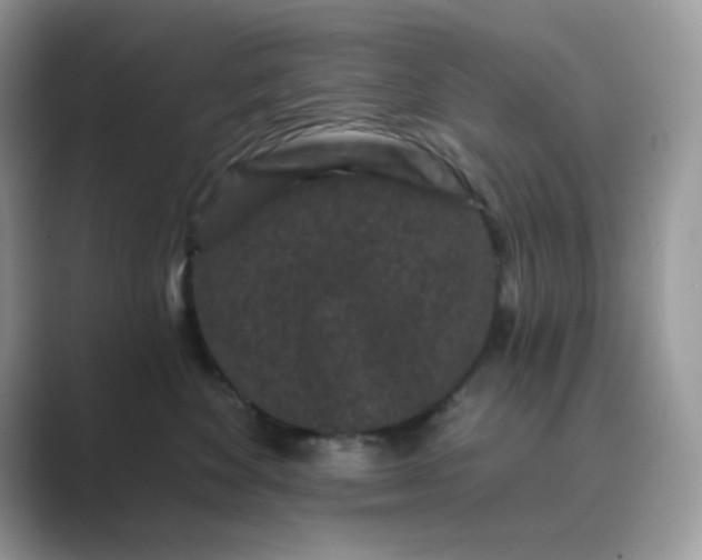 X0000089740524200707051759