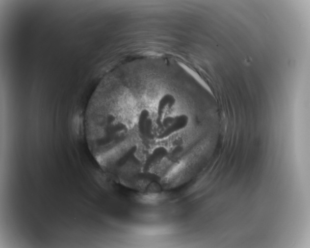 X0000089740527200707051759