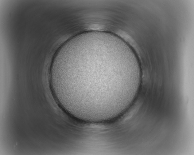 X0000089740529200707051758