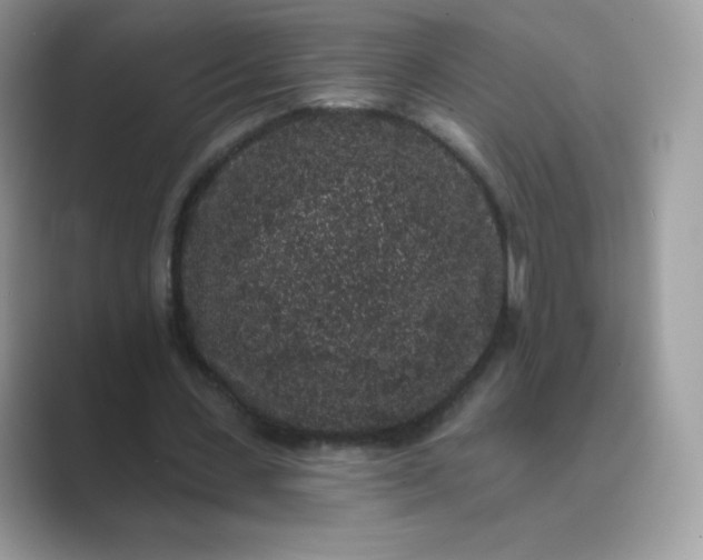 X0000089740531200707051758