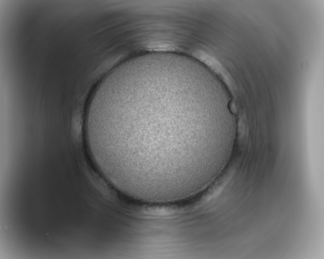 X0000089740533200707051758