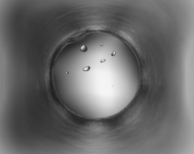 X0000089740535200707051758