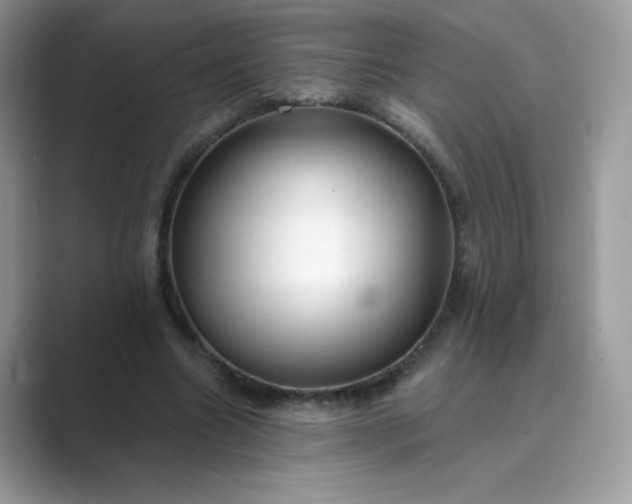 X0000089740538200707051758