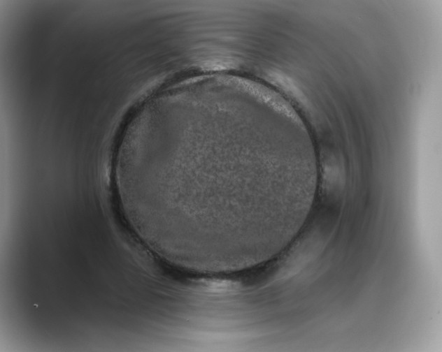 X0000089740539200707051758