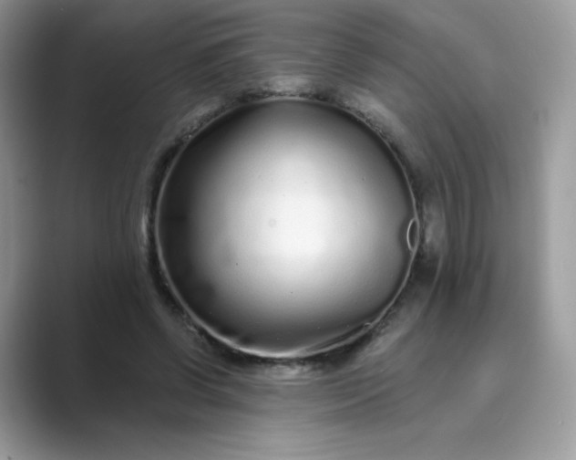 X0000089740542200707051759