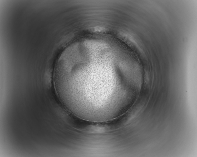 X0000089740545200707051759