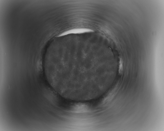 X0000089740547200707051759