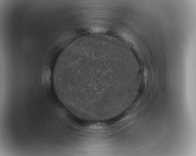 X0000089740550200707051759