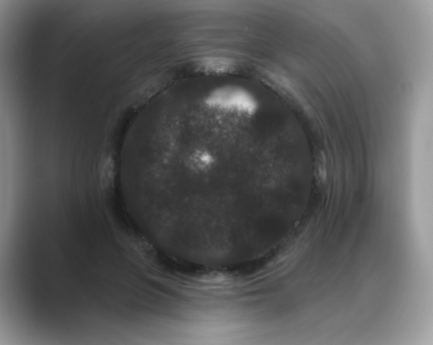 X0000089740551200707051759