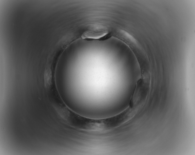 X0000089740552200707051759