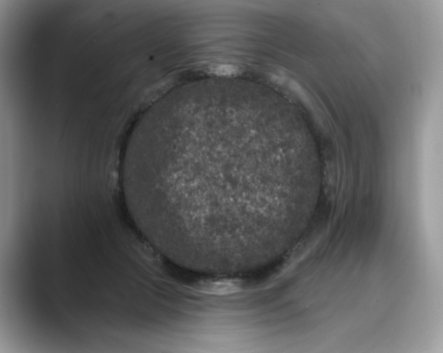 X0000089740553200707051759