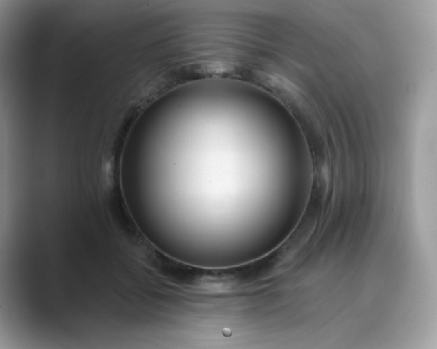 X0000089740556200707051759