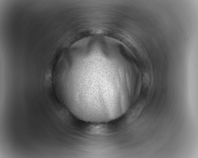 X0000089740557200707051759