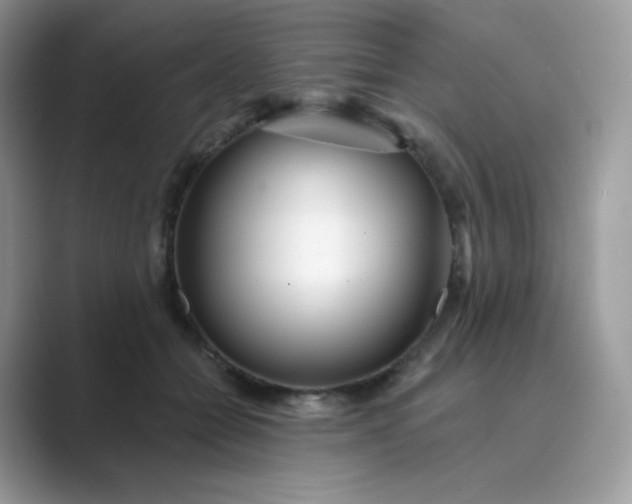 X0000089740558200707051759