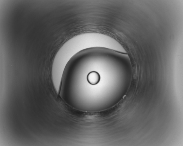 X0000089740560200707051759