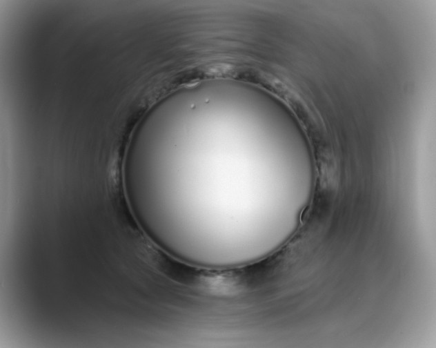 X0000089740561200707051759