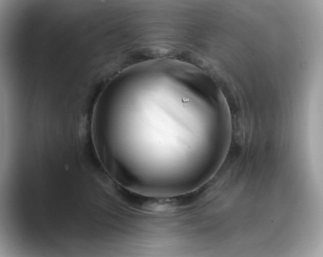 X0000089740563200707051759