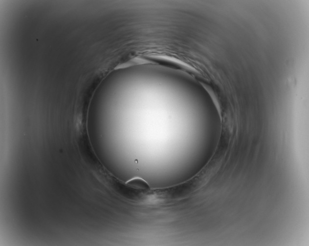 X0000089740564200707051759