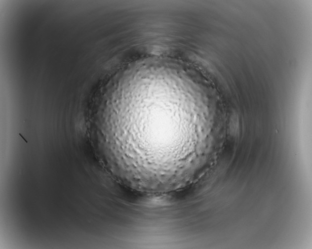 X0000089740569200707051759