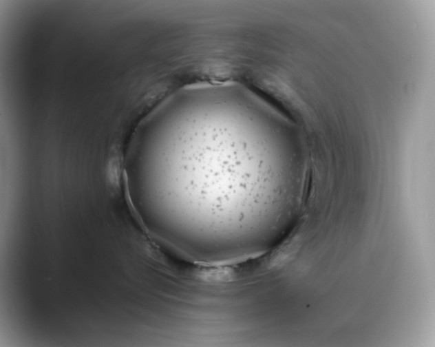 X0000089740576200707051759