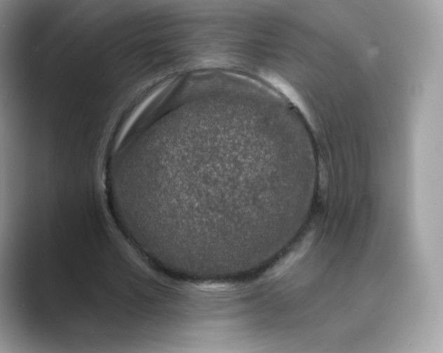 X0000089740581200707051758