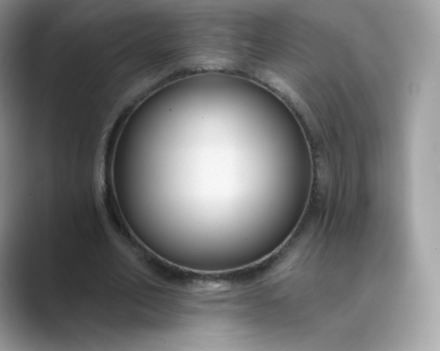 X0000089740582200707051758