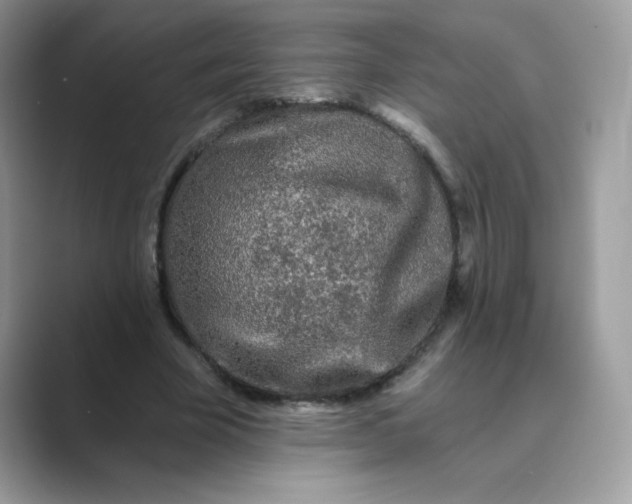 X0000089740585200707051758