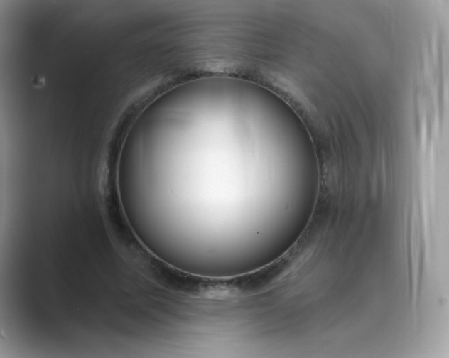 X0000089740587200707051758