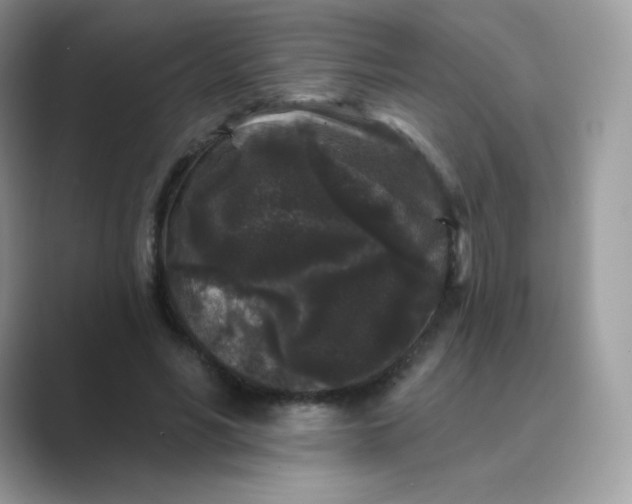 X0000089740590200707051758