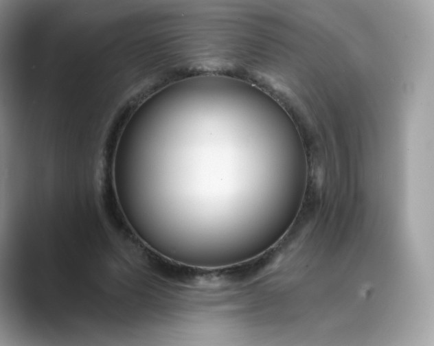 X0000089740591200707051758