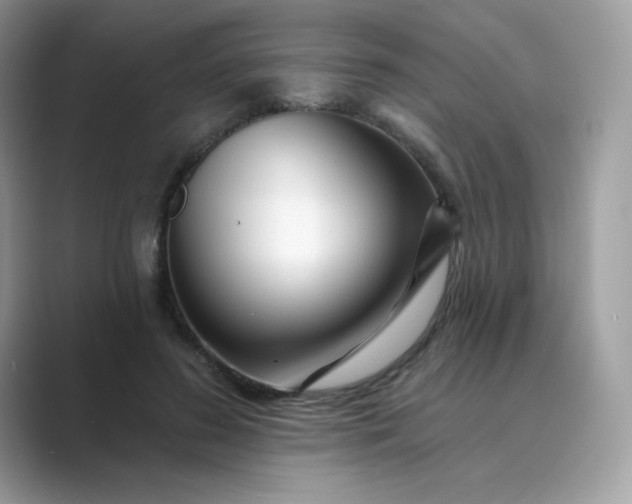 X0000089740596200707051758