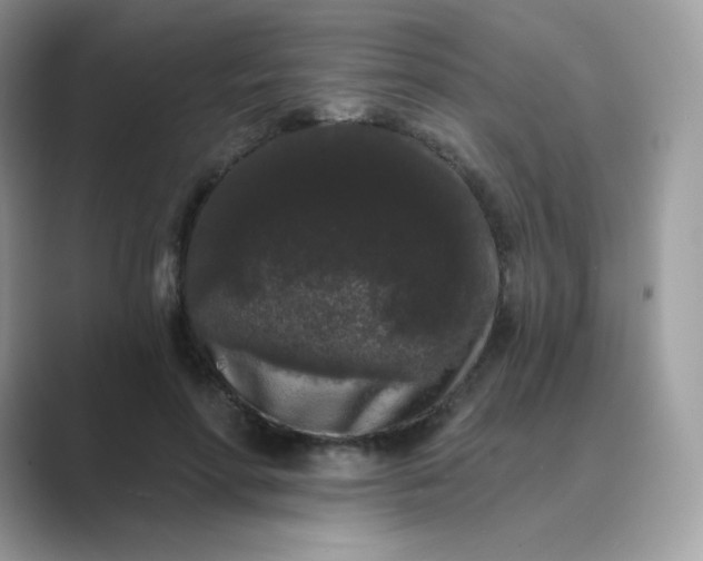 X0000089740598200707051758