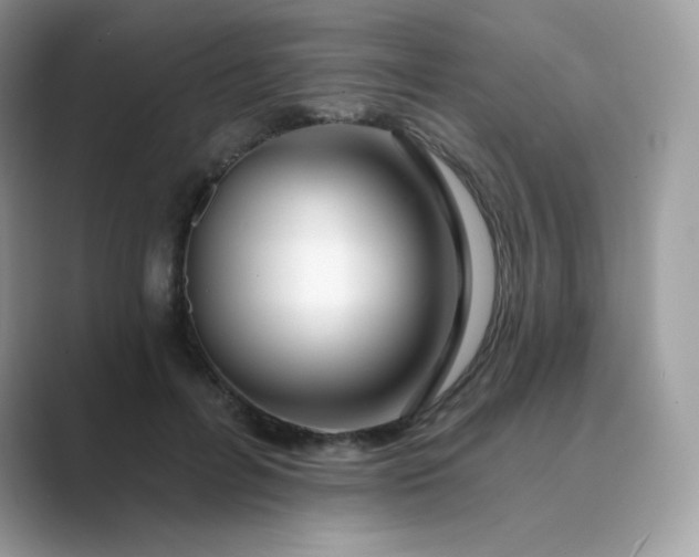 X0000089740600200707051758