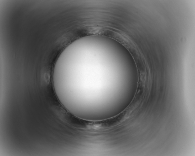 X0000089740602200707051758