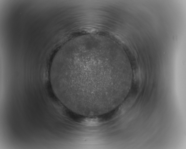 X0000089740606200707051758