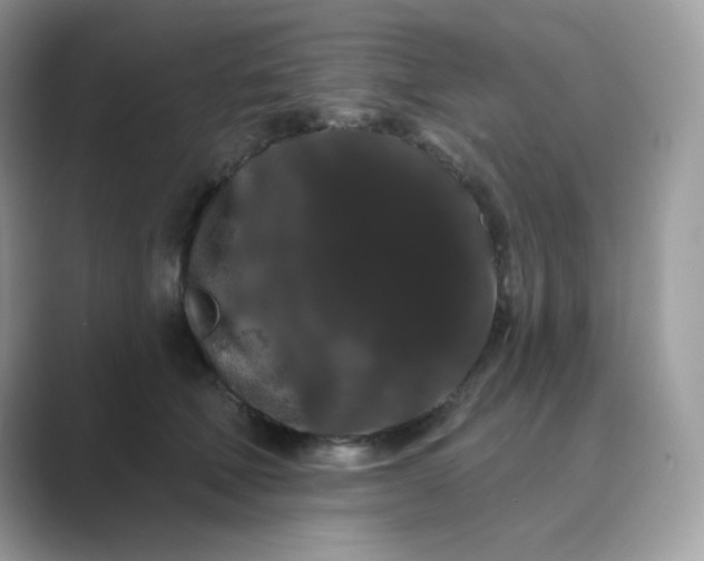 X0000089740610200707051758