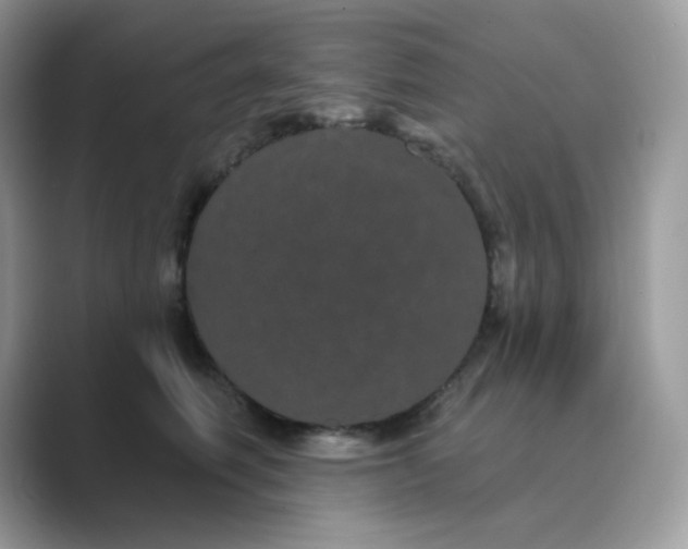 X0000089740614200707051758