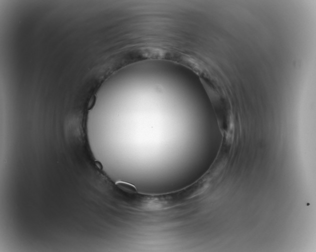 X0000089740616200707051758