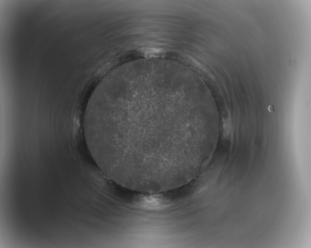 X0000089740618200707051758