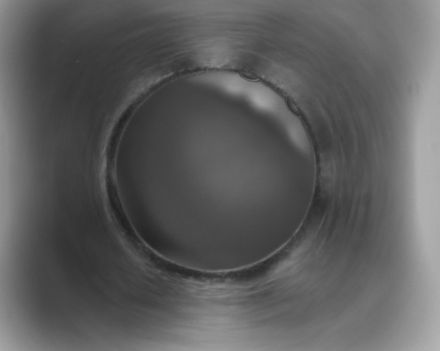 X0000089740626200707051757