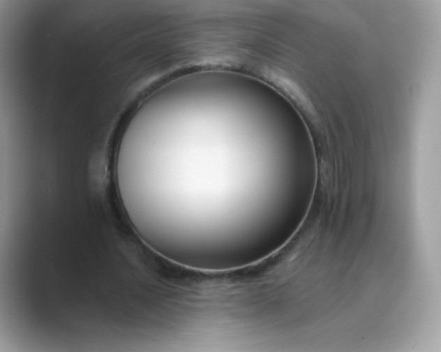 X0000089740628200707051757