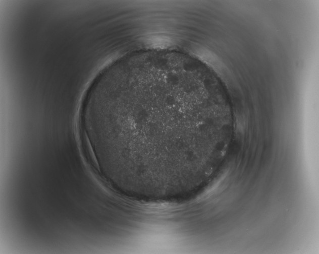 X0000089740630200707051757