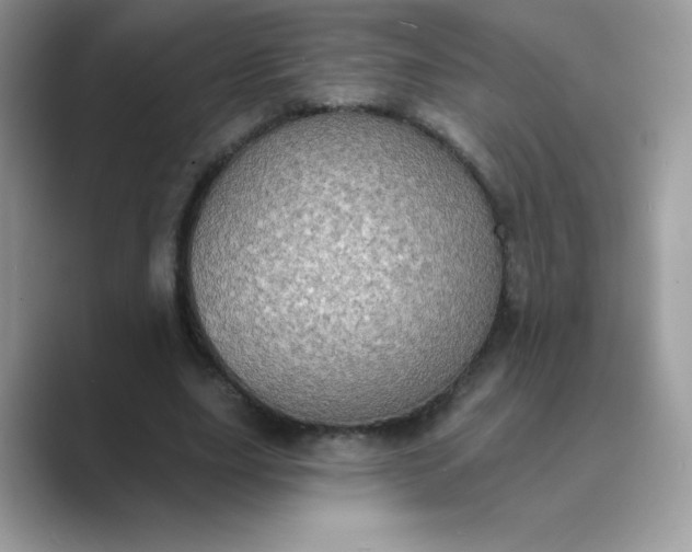 X0000089740631200707051757