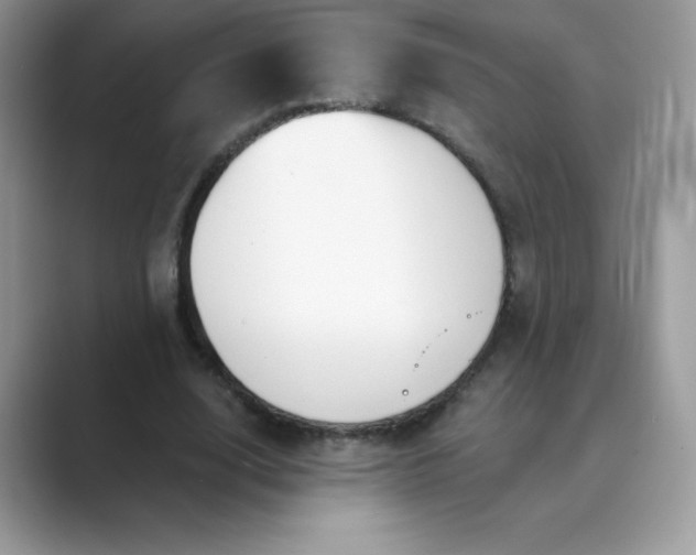 X0000089740632200707051757