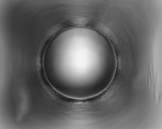 X0000089740634200707051757