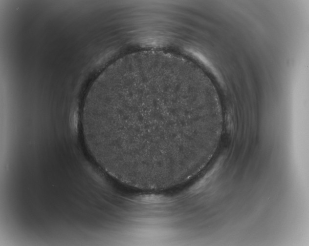 X0000089740637200707051757