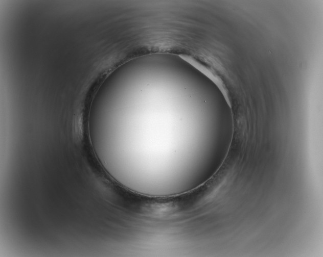 X0000089740638200707051757