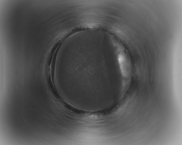 X0000089740640200707051757