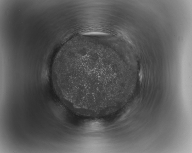 X0000089740643200707051757