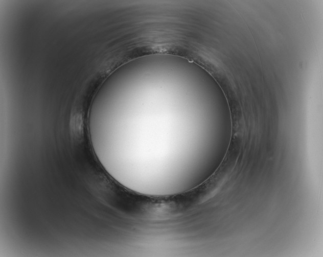 X0000089740646200707051758